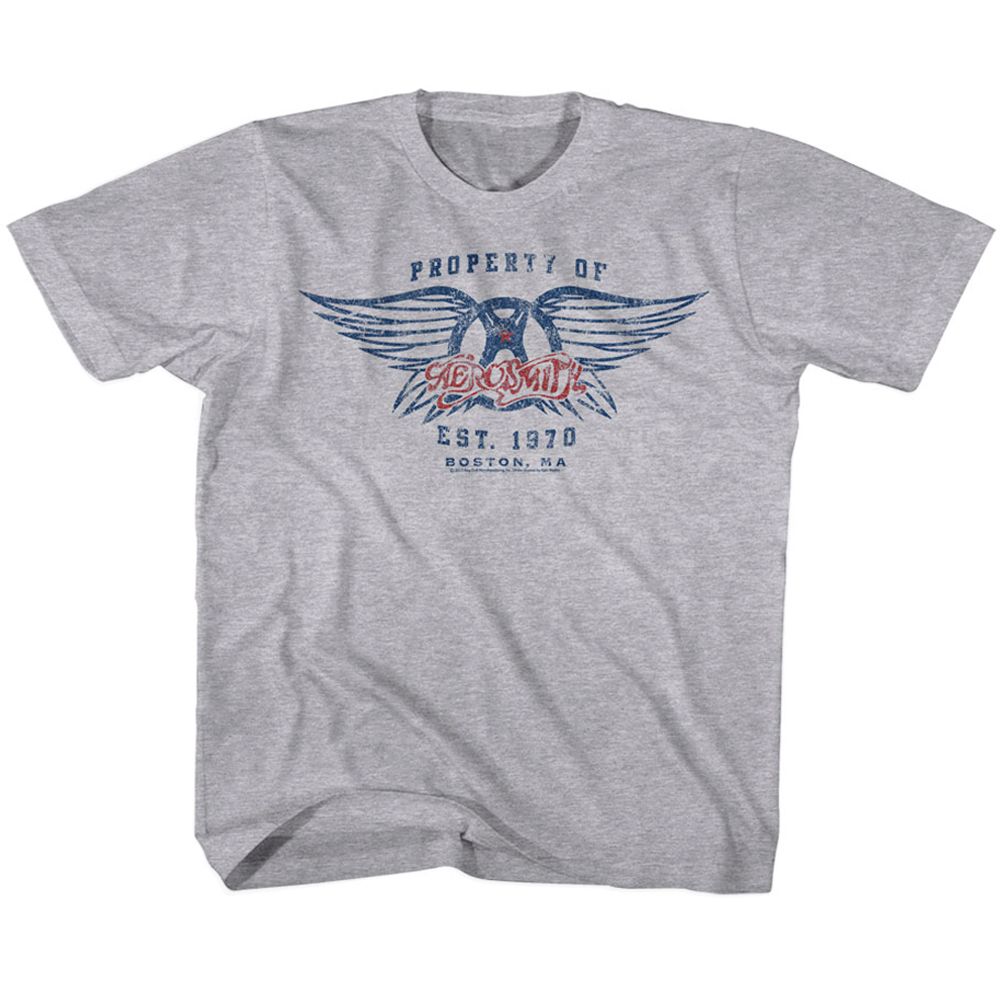 Aerosmith Graphite Heather Youth S/S Tshirt