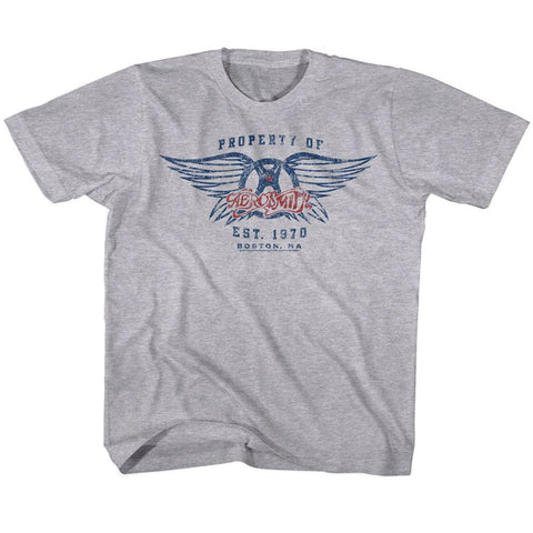 Aerosmith Graphite Heather Toddler S/S Tshirt