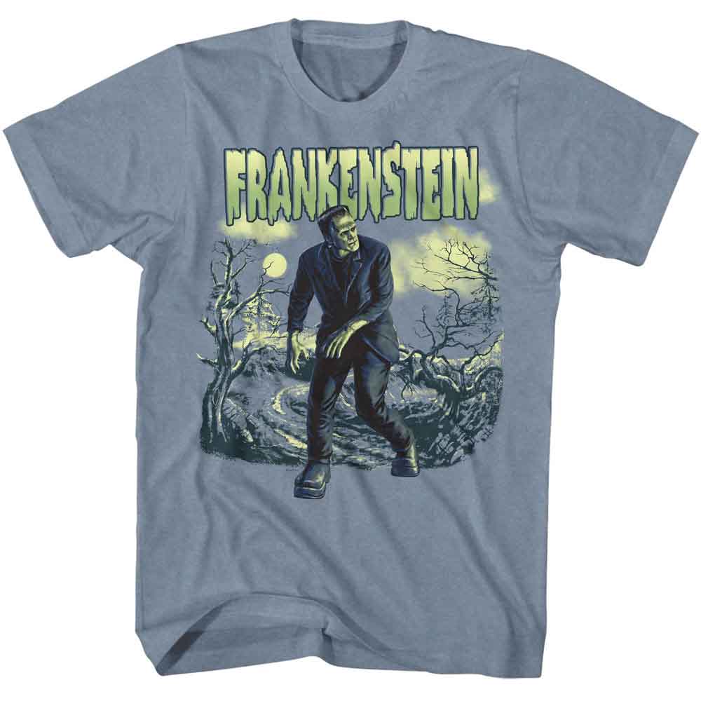 Universal Monsters Indigo Heather Adult Short Sleeve Tshirt