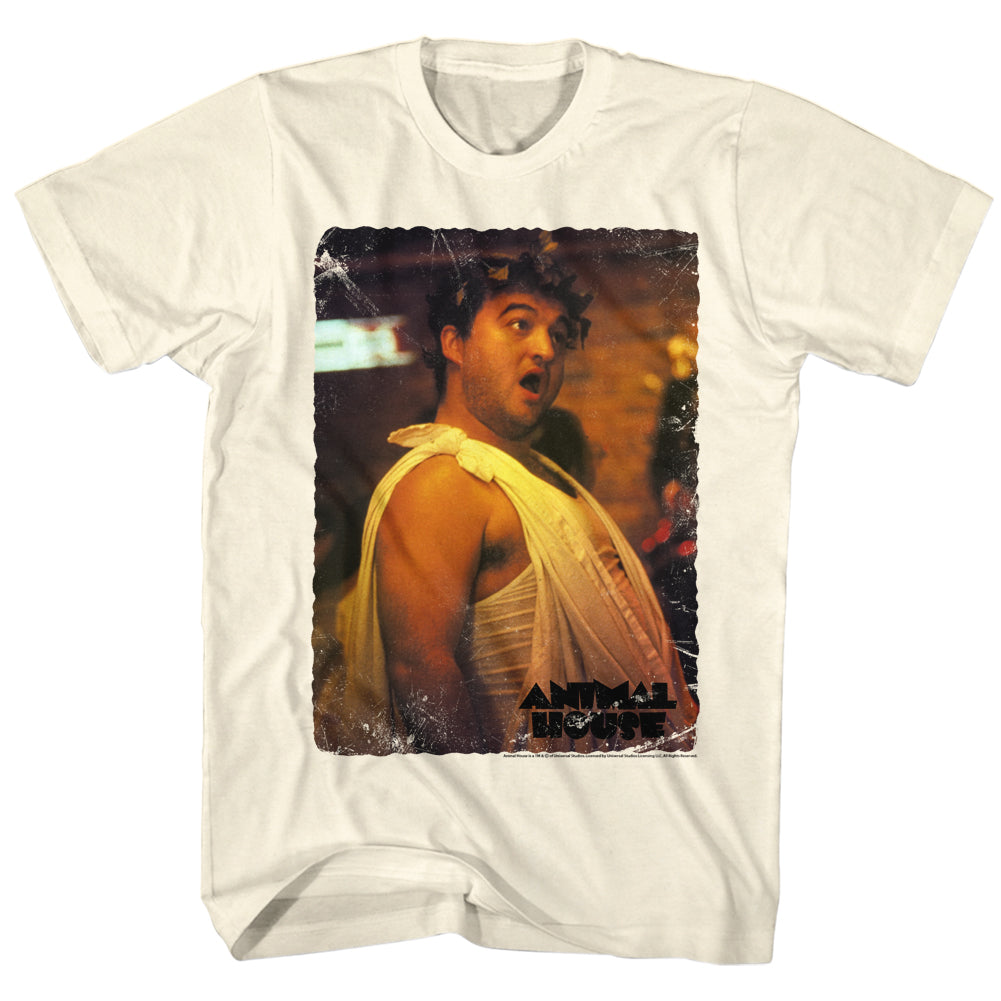 Animal House Vintage Toga Men's T-Shirt