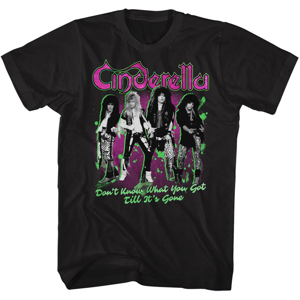 Cinderella Till Its Gone Adult T-Shirt