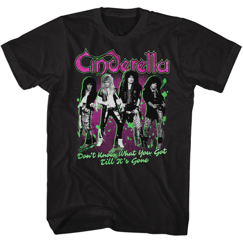 Cinderella Till Its Gone Adult T-Shirt
