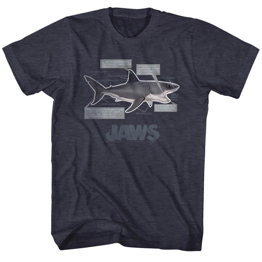 Jaws Jaws Anatomy Men's T-Shirt