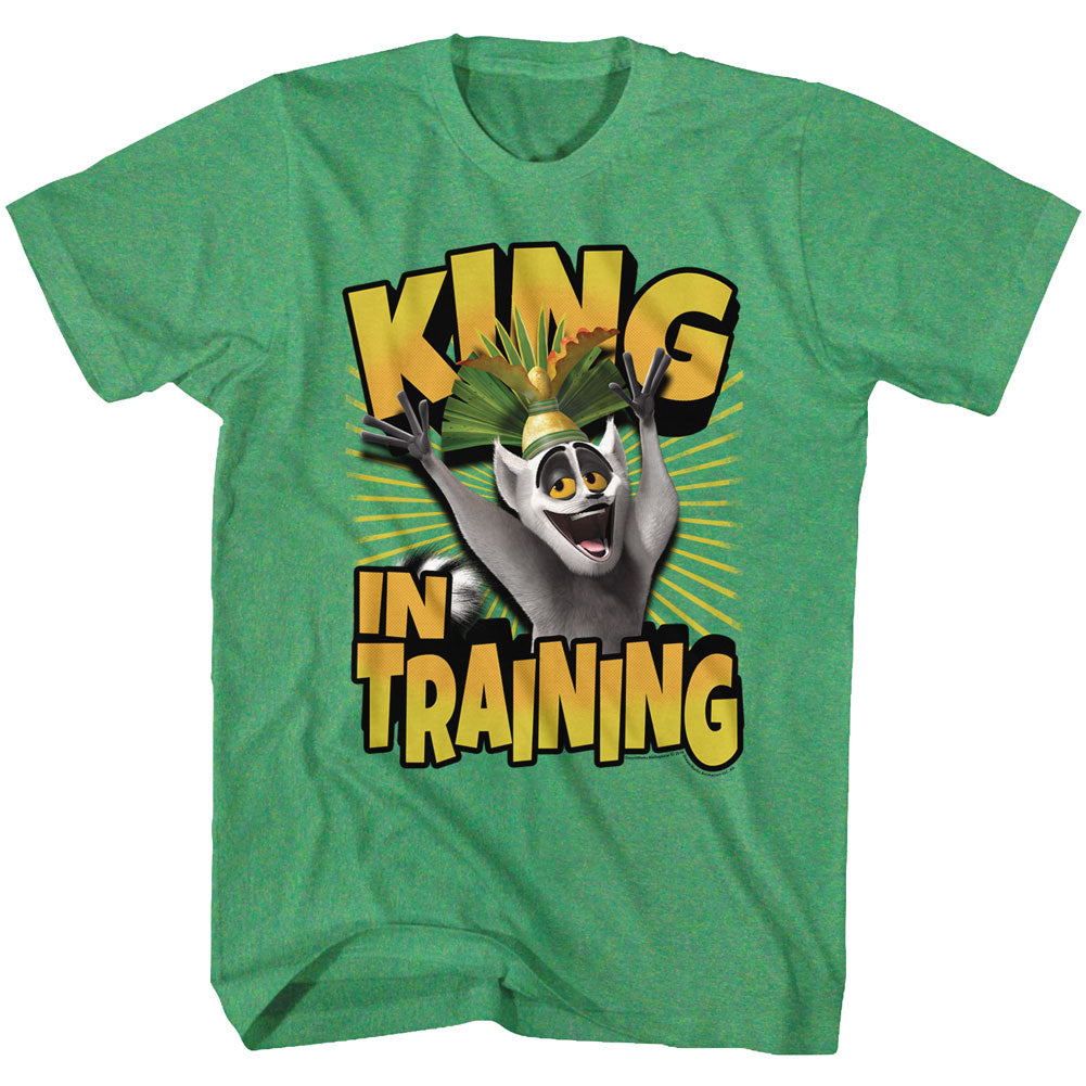 Madagascar K.I.T. Men's T-Shirt