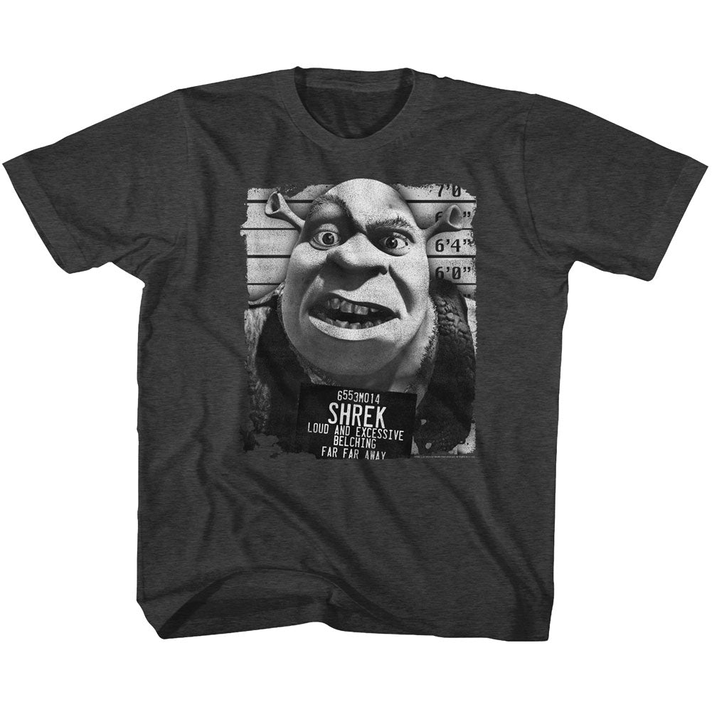 Shrek Shrek Mugshot Youth T-Shirt